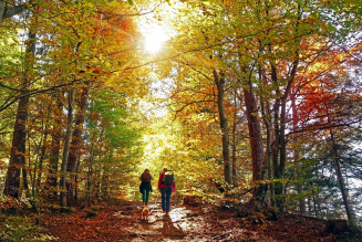 Ilustrační obrázek - Vyhlášení výsledků 2. výzvy programu Udržitelný turismus a posílení biodiverzity – tzv. Malé grantové schéma (MGS)